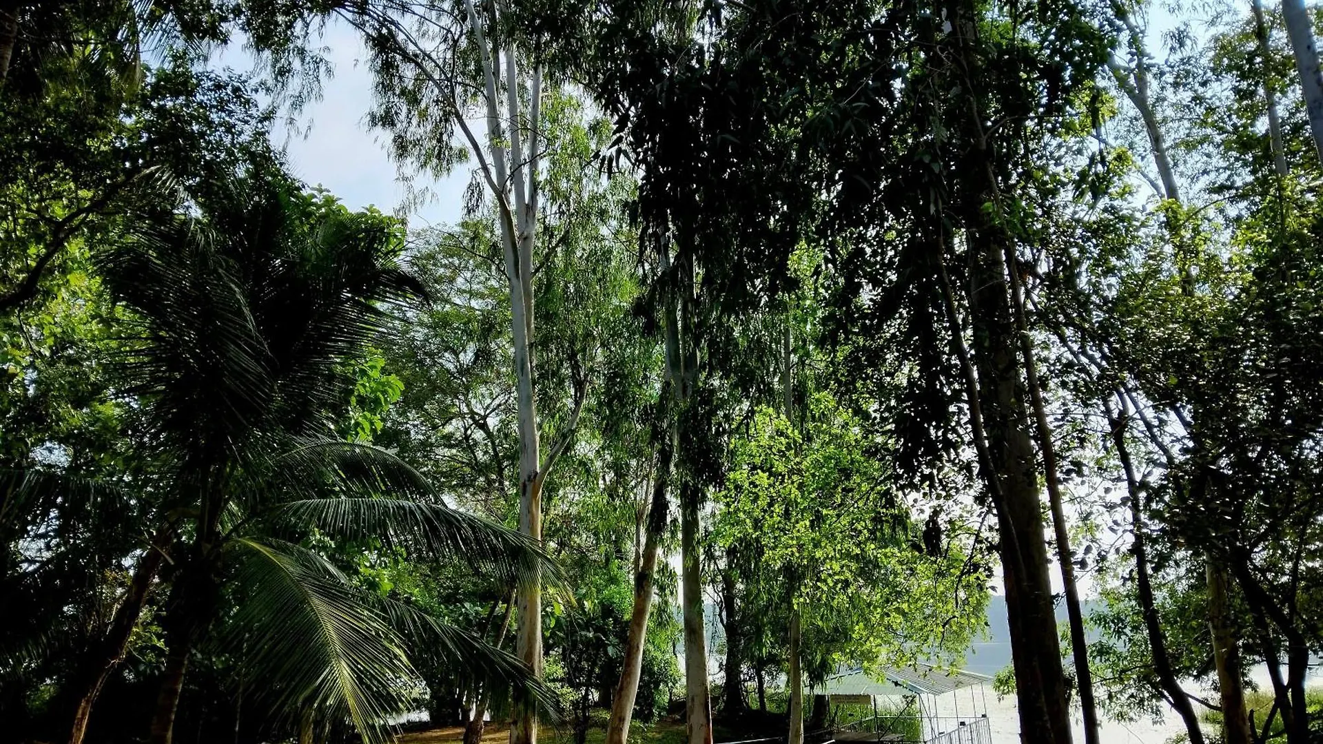 Nature'S Lake View Sigiriya Dambulla 0*,  Sri Lanka