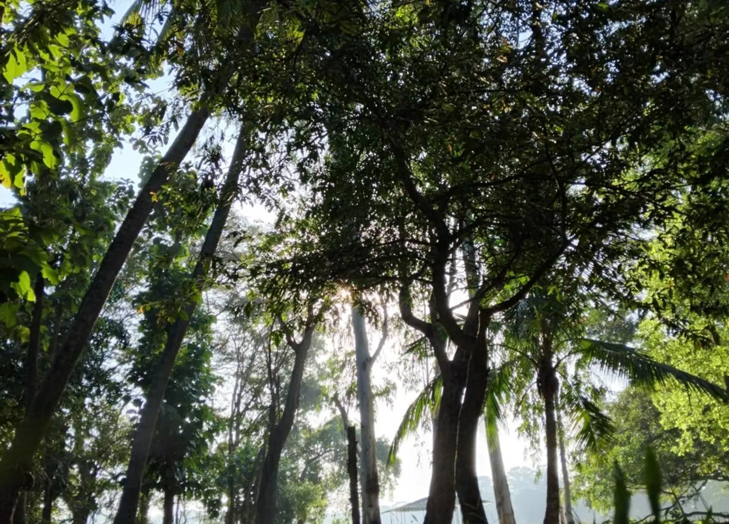 Nature'S Lake View Sigiriya Dambulla Resort