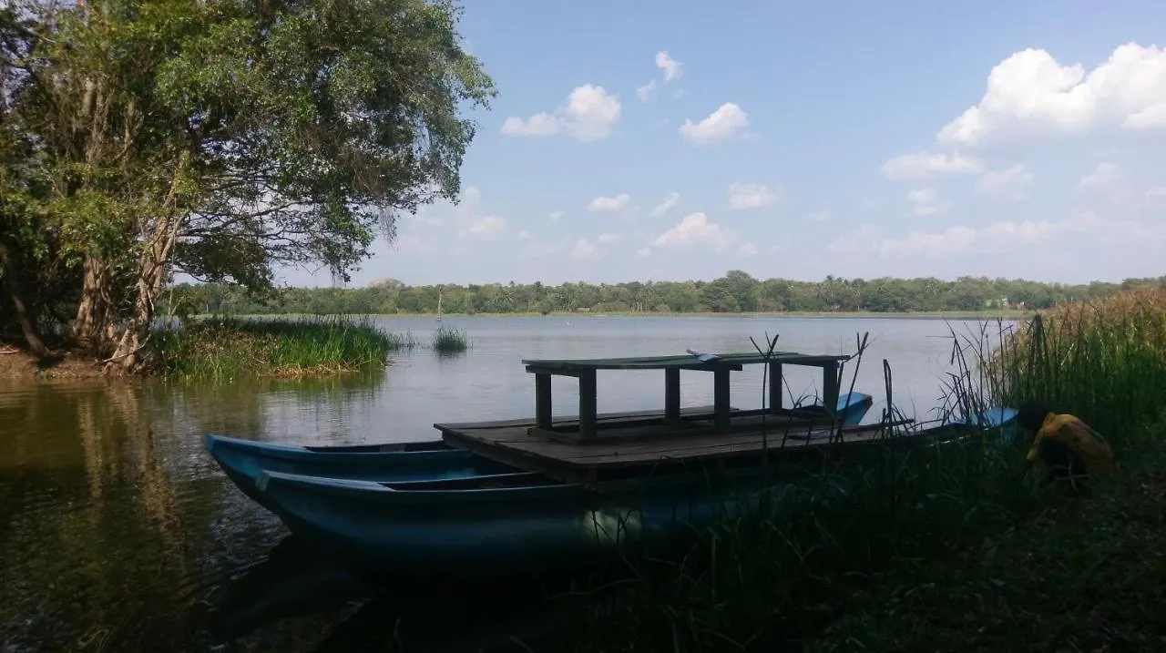 Resort Nature'S Lake View Sigiriya Dambulla