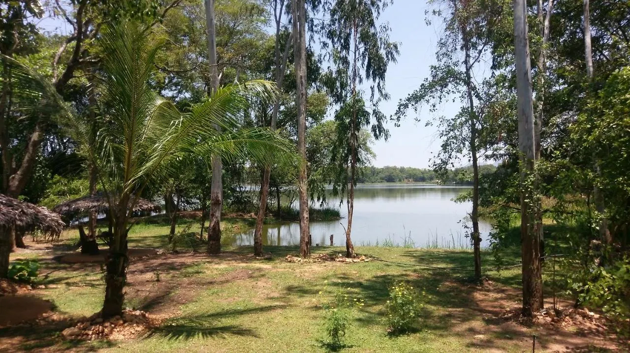 Resort Nature'S Lake View Sigiriya Dambulla Sri Lanka